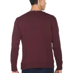 Arrow Sport Burgundy Regular Fit Printed Sweatshirt image 2
