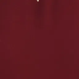 Rare Red Regular Fit Top image 5