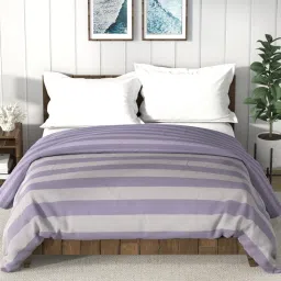 Nautica Bristol Stripes Multicolor 150 TC Cotton Double Comforter image 1