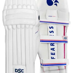 DSC Intense Passion Cricket Batting Legguard Size - Youth image 1