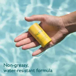 CAUDALIE Paris Vinosun Protect Invisible UVA and UVB High Protection Stick SPF 50 - 15 gm image 4