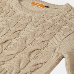 Cayman Light Beige Self Design Sweater image 5
