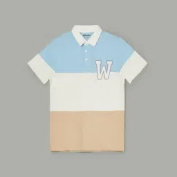 Fame Forever By Lifestyle Multicolor Cotton Regular Fit Striped Polo-picture-15