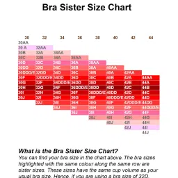 Zivame Peach Non Wired Non Padded T-Shirt Bra image 5