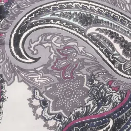Style Quotient Grey Printed Scarves image 4