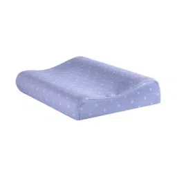 The White Willow Blue Woven Foam Contour Pillow - Set of 1-image-57