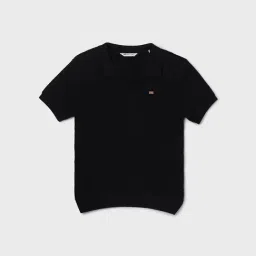 Fame Forever By Lifestyle Black Cotton Regular Fit Textured Polo-picture-38