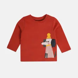 Miniklub Boys Rust Orange Regular Fit Knitted T-Shirt-picture-16