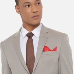 Louis Philippe Multicolor Color Block Pocket Square-image-74