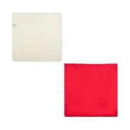 The Tie Hub Set Of 2 Silk Pocket Squares-picture-32