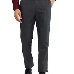 Park Avenue Grey Regular Fit Self Pattern Trousers image 1