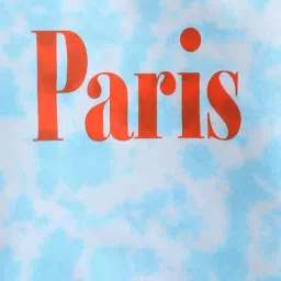 3PIN Boys Multi Cotton Regular Fit Printed Sweatshirt image 2