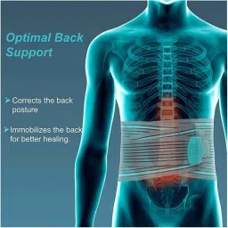 Tynor A05 Lumbo Sacral XXXL (Grey) image 3