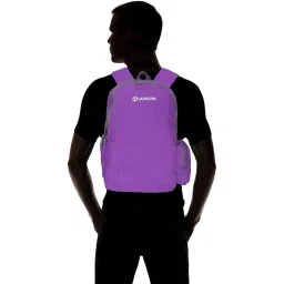 Harissons 23 Ltrs Purple Small Backpack image 2