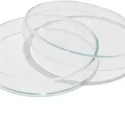 Abgil 150mm x 20mm Borosilicate Glass Petri Dish for Microbial Culture ABG1767-picture-10