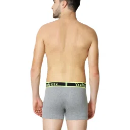 Van Heusen Grey  Trunks image 2