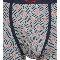 Van Heusen Grey  Printed Trunks image 4
