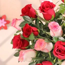 Whispers Of Love Rose Symphony image 4