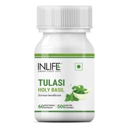 Inlife Tulsi (Tulasi) Extract Capsules Natural Respiratory Wellness, 500mg Capsules-image-0