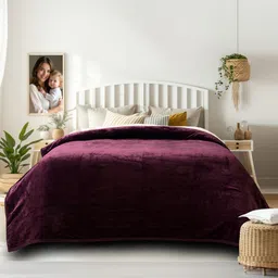 Cortina 350 GSM Mild Winter Solid Single Blanket Purple-picture-10