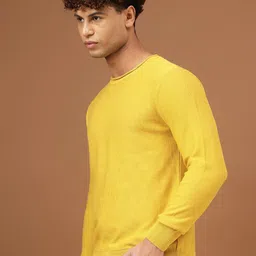 Richlook Men Round Neck Woollen Pullover image 3