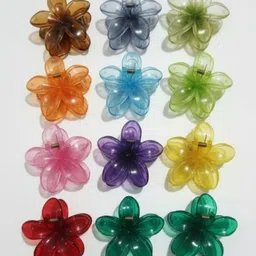 HANDBAG COLLECTION Women Set of 4 Claw Clip-picture-38