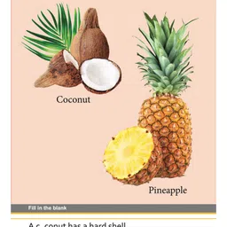 om books international My First Book of Fruits Picture Book - English image 4