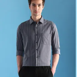 Arrow Grey Cotton Regular Fit Striped Shirt-picture-20