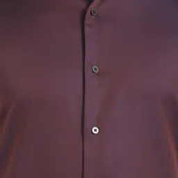 Arrow New York Maroon Cotton Regular Fit Shirt image 5