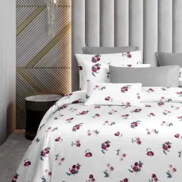 Ariana MILAN Wine & White Cotton 200 TC Double Size Bedsheet With 2 Pillow Covers image 2