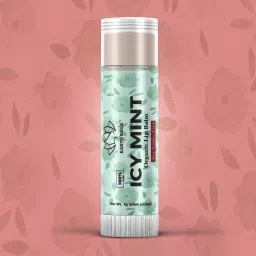 Earthraga Icy Mint Organic Lip Balm - 4 gm image 2