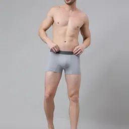 Van Heusen Grey Regular Fit Trunks image 5