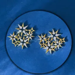 Voylla Silver Fireworks Starry Symphony Stud Earrings-picture-30