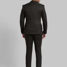 Parx Green Regular Fit Self Pattern Two Piece Suit image 2