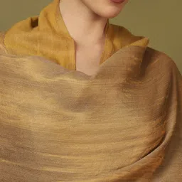 Pashmoda Women Woven Design Shawl image 2