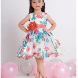 Ministitch Organza Woven Sleeveless Floral Printed & Applique Detailed Dress - Off White-picture-39