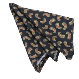 Alvaro Castagnino Men Printed Cravat Tie With Pocket Square Accessory Gift Set image 2