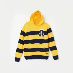 Fame Forever by Lifestyle Kids Yellow & Navy Striped Full Sleeves Sweater-picture-40
