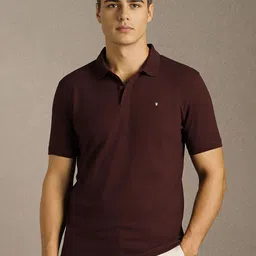 Louis Philippe Sport Men Solid Polo Collar Cotton T-shirt-picture-18