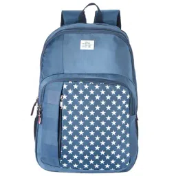 Tommy Hilfiger Tortugas 29 Ltrs Navy Large Backpack-picture-17