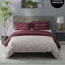 Bianca Denim Feel Burgundy 192 TC 150 GSM Double Size Bedsheet & Comforter With 2 Pillow Covers-picture-10