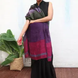 Chidiyaa Black Kaali Brahmi Handwoven Linen Saree-picture-33