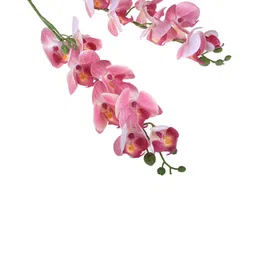 paperi Pink & Green Orchid Artificial Flower image 2