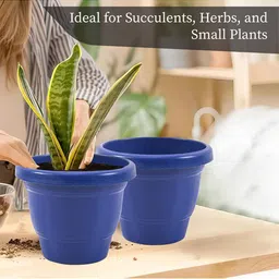 Kuber Industries Blue & Red 2 Pieces Versatile & Sturdy Flower Planters image 3