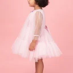 Aarika Net A-Line Dress image 2