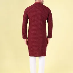 AURIK Geometric Printed Mandarin Collar Jacquard Straight Kurta image 4