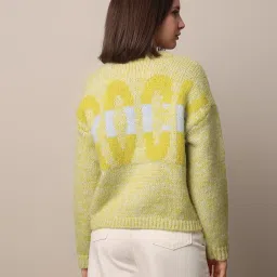 Only Green Self Design Pullover image 3