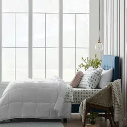 Razzai White Poly fill Basic Comforters image 3