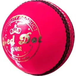 DSC Red Dot Leather Cricket Ball Size - Standard-picture-13