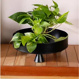 FREEDOM TREE Black Round Planter With Stand-picture-14